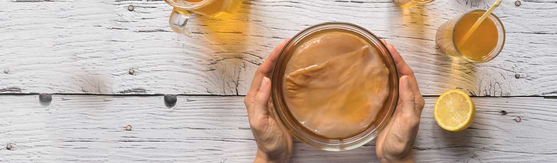 Kombucha