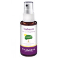 TEEBAUM FUSSSPRAY