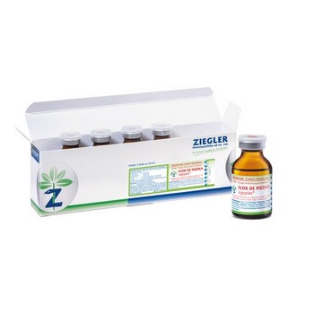 FLOR DE PIEDRA LOGOPLEX Injektionslösung vet.